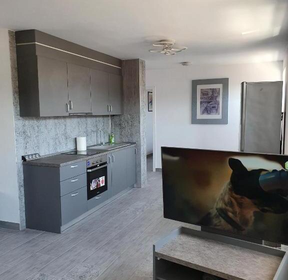 １ベッドルームアパートメント, Casa Musceleana