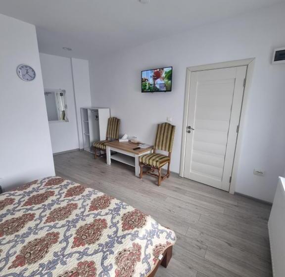 スタンダードルーム, Casa Musceleana