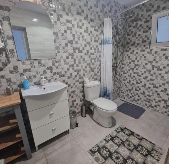 スタンダードルーム, Casa Musceleana