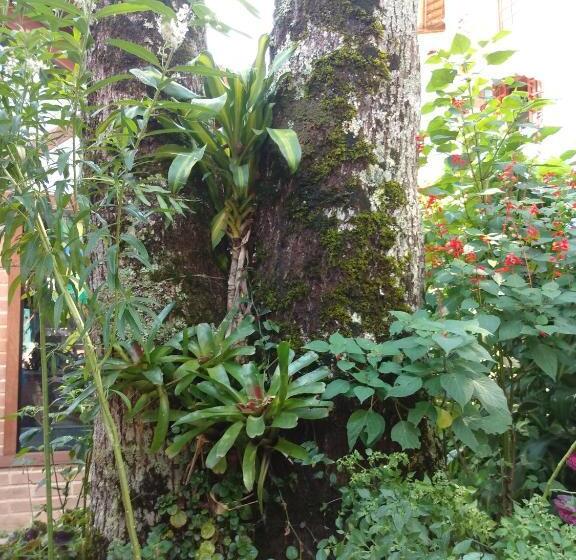 جناح, Pouso Da Lua