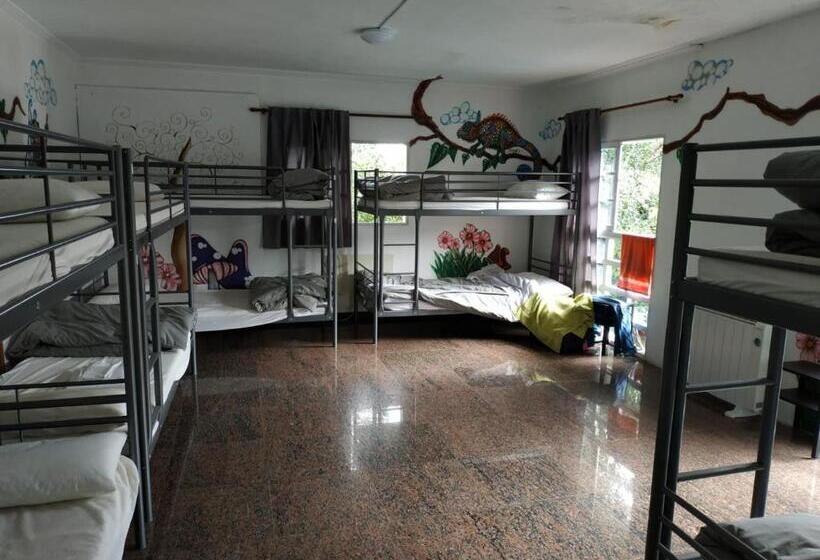 سرير فى غرفة مشتركه, La Casa Verde