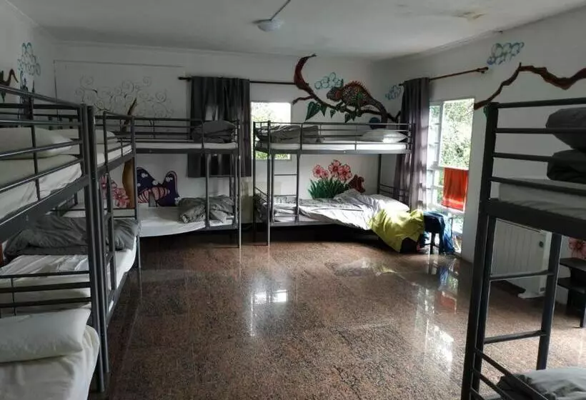 تختخواب در اتاق مشترک, La Casa Verde