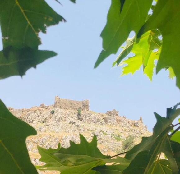 غرفة سوبيريور مطلّة علي البحر, Haraki Memories Beach Studios