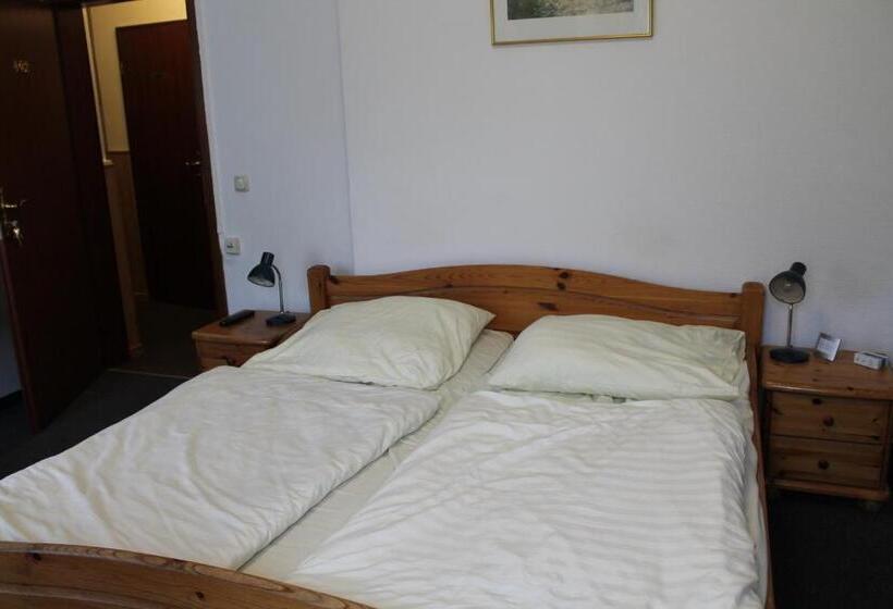 Номер Стандарт, Pension Locarno