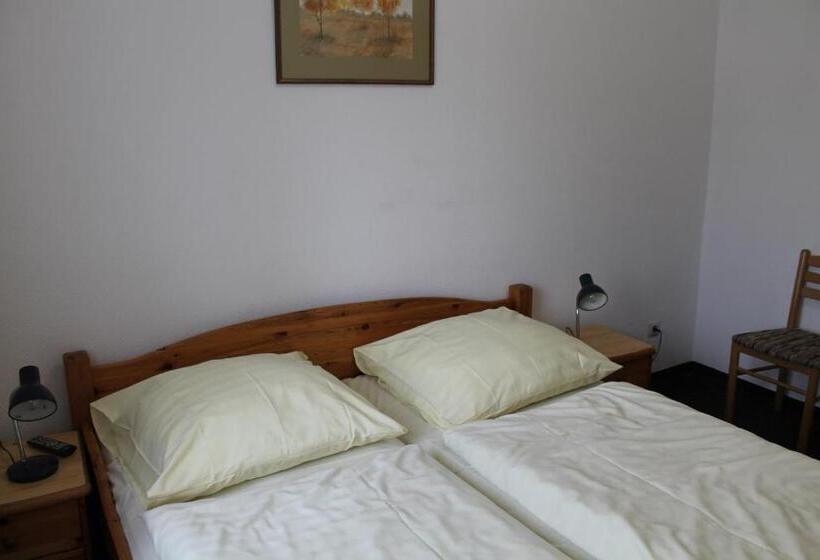 اتاق استاندارد سه نفره, Pension Locarno