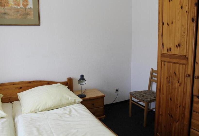 Номер Стандарт, Pension Locarno