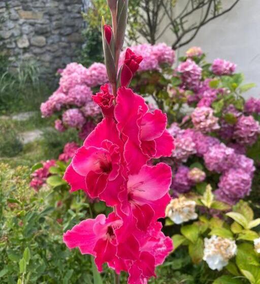 3间卧室的房子, Le 37