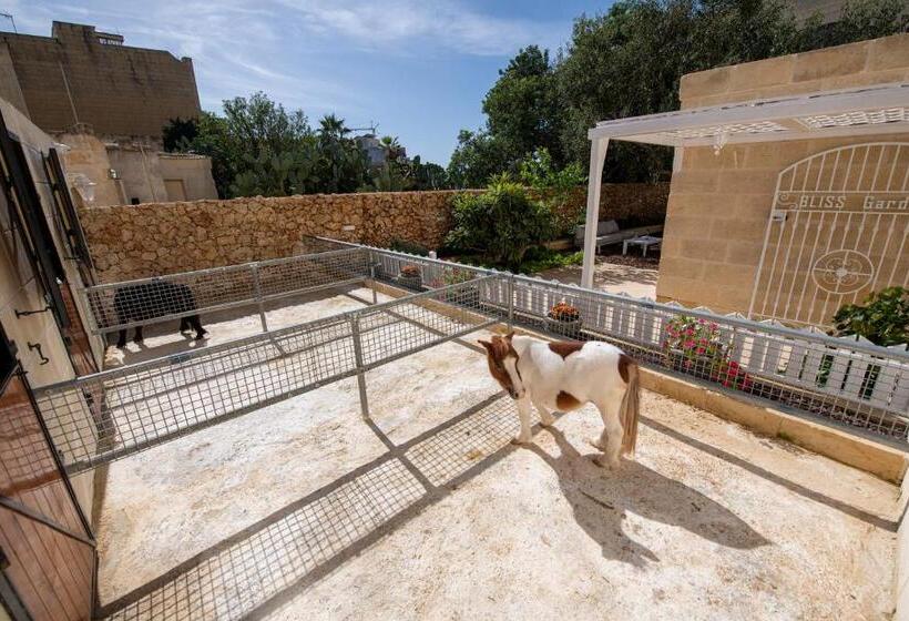 اتاق استاندارد, Bliss Boutique Living