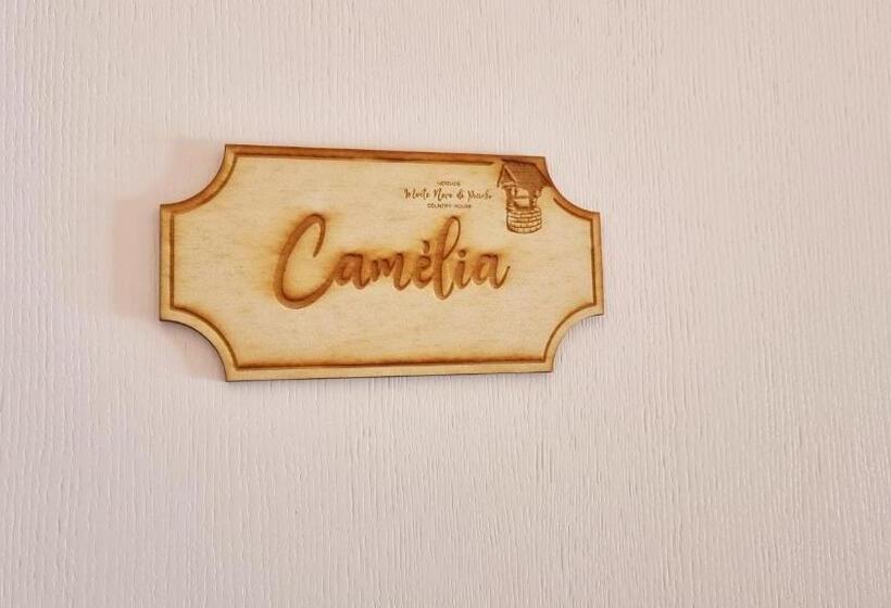 غرفة قياسية مطلّة علي حمام السباحة, Herdade Monte Novo Do Pocinho