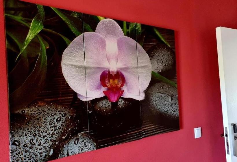 غرفة قياسية مزوَّدة بشُرفة, Herdade Monte Novo Do Pocinho