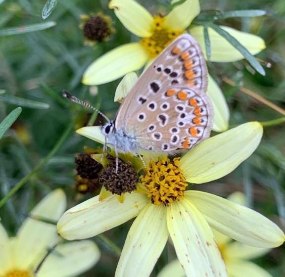 غرفة قياسية, Il Mulino Di Valeria