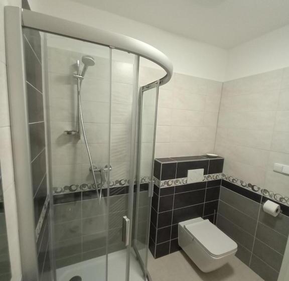 חדר סטנדרט, Penzion Vila Winter