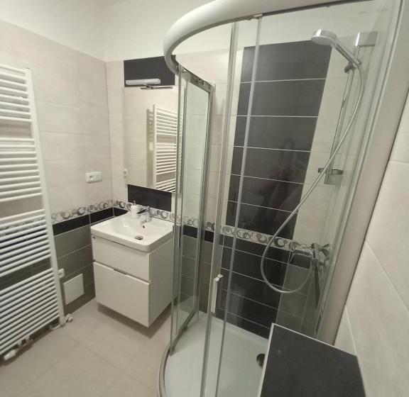 חדר סטנדרט, Penzion Vila Winter