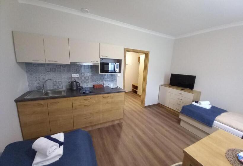 חדר סטנדרט, Penzion Vila Winter