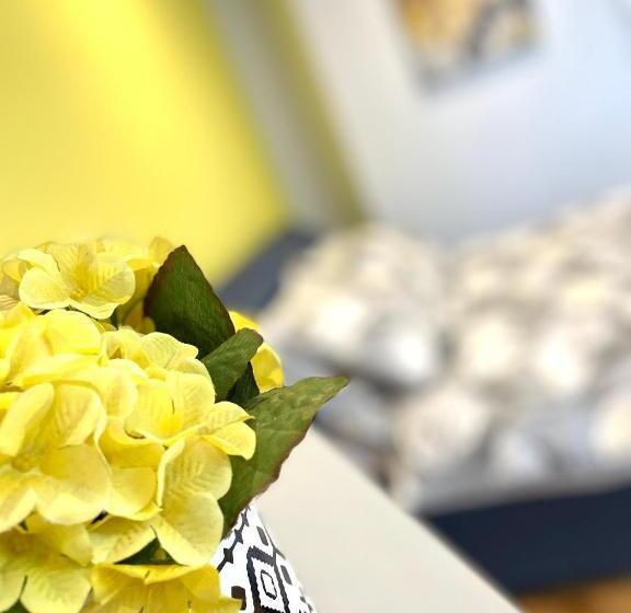Семейное Студио, Albion Boutique Guest House