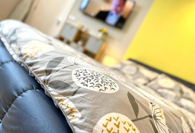 패밀리 스튜디오, Albion Boutique Guest House