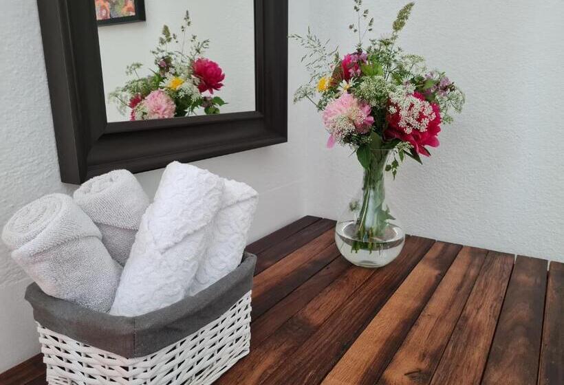 اتاق استاندارد با سرویس بهداشتی مشترک, Nona Bb