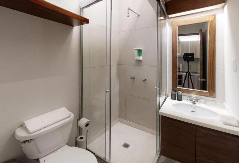 キングサイズベッドのスイートルーム, Tokio Suites