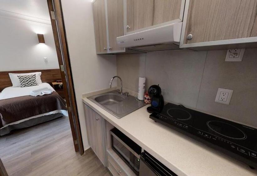 Suite Cama King, Tokio Suites