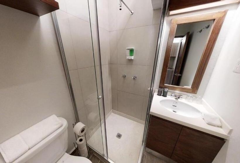 キングサイドベッドのスタンダードワンルーム, Tokio Suites