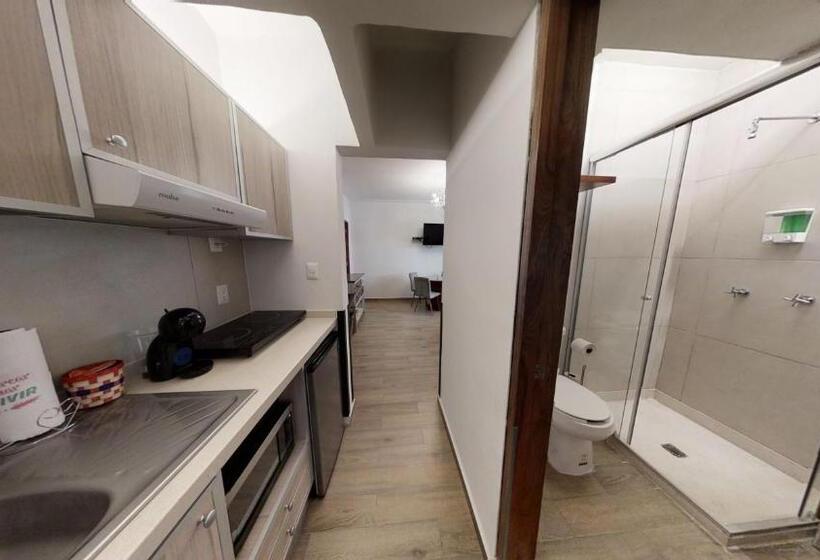 キングサイドベッドのスタンダードワンルーム, Tokio Suites