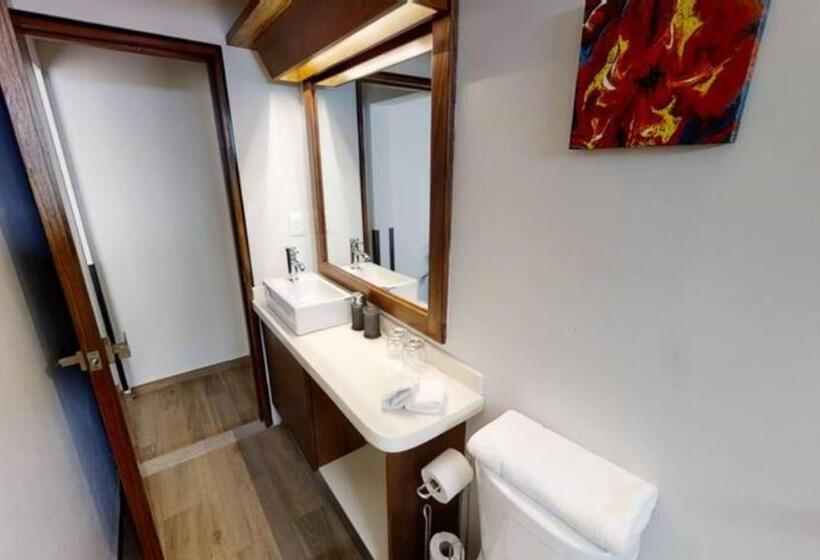 1ベッドルームアパートメント, Tokio Suites