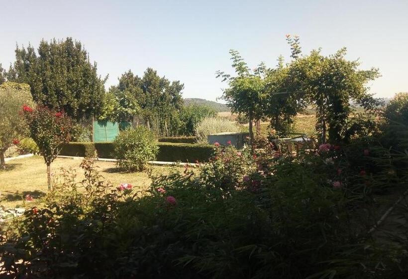 스탠다드 룸, La Vigneronne