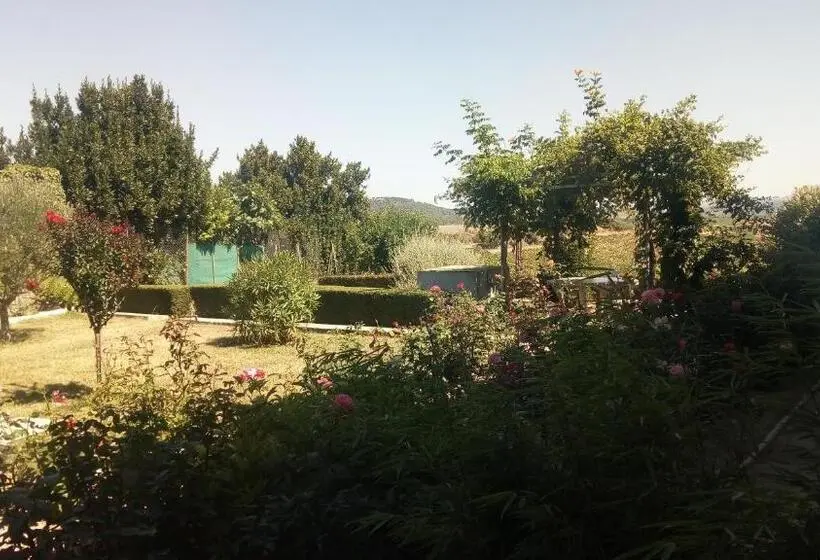 ファミリールーム, La Vigneronne