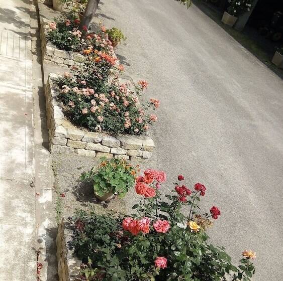 스탠다드 룸, La Vigneronne