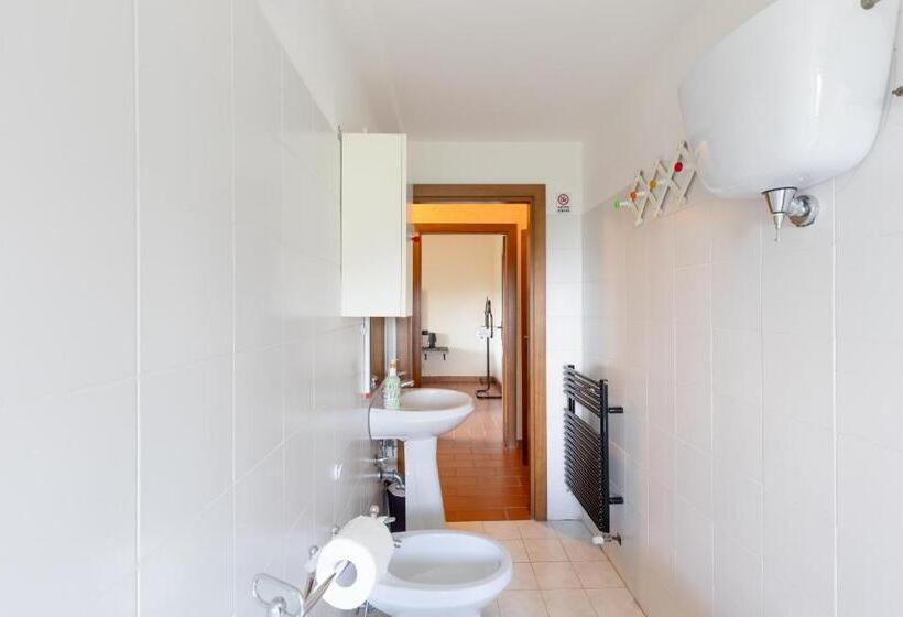 Quarto Estandar, La Fonte Di Gaiche