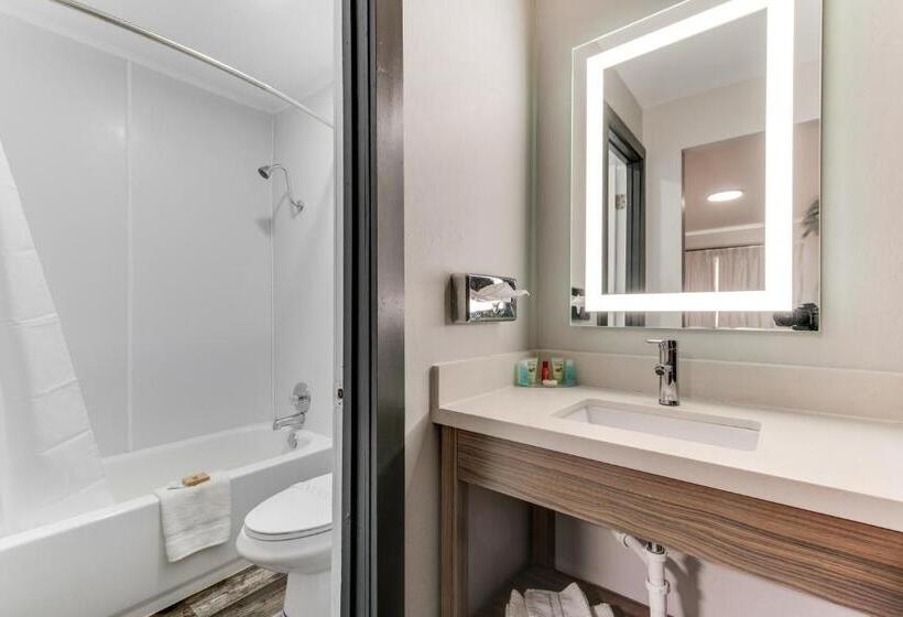 غرفة قياسية سرير كينج, Dolores Mountain Inn