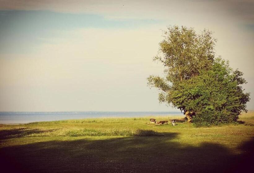 스탠다드 룸, Küstenquartier