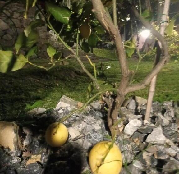 غرفة قياسية سرير كينج, Tenuta Di Venere