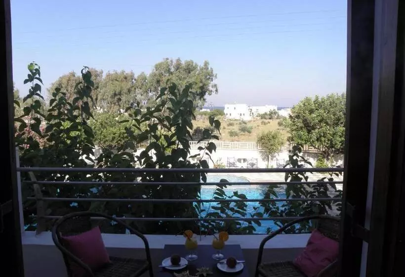 اتاق کلاسیک سه تخته, Areti