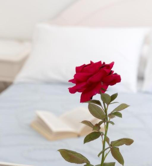 三人经典房间, Areti