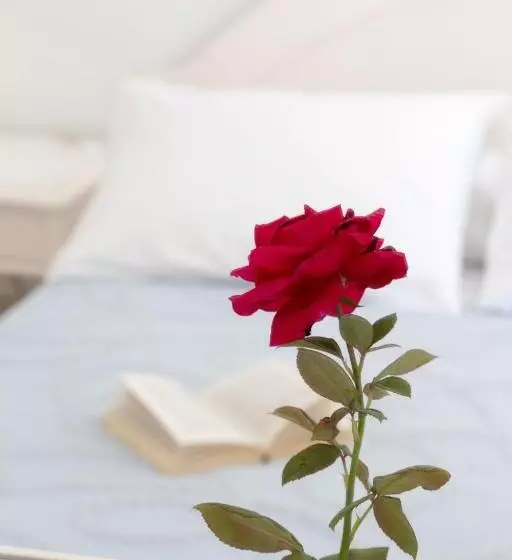 اتاق کلاسیک چهارنفره, Areti