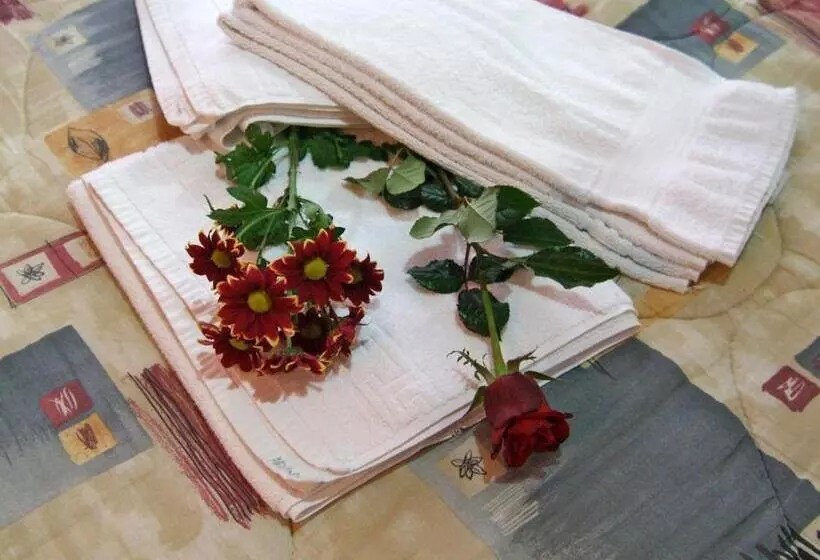 Chambre Standard, Athina