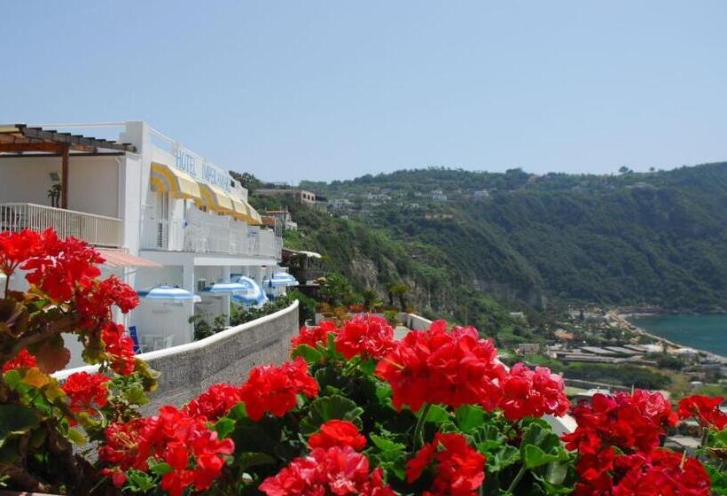 스탠다드 싱글 룸 바다 전망, Imperamare