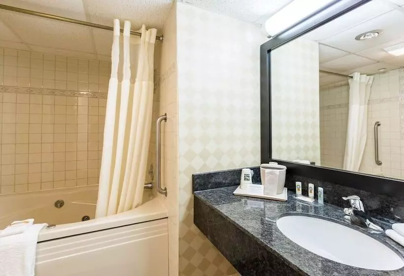 ２ダブルベッドのスタンダードルーム, Quality Inn And Conference Center I80 Grand Island