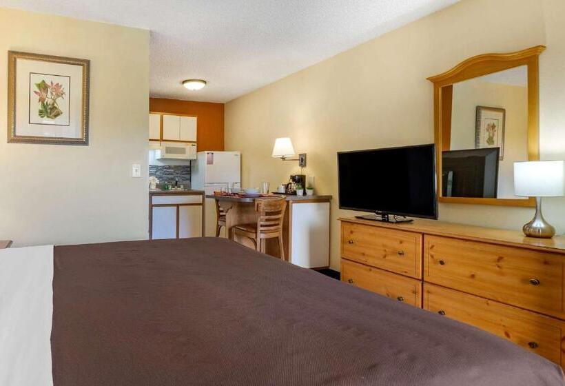 Студио Стандарт Кровать Кинг, Suburban Studios