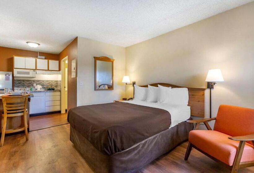 Студия Стандарт, Suburban Studios