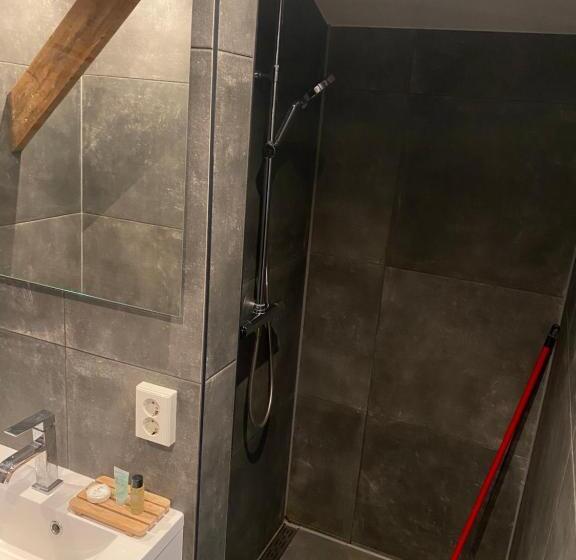 デラックスルーム, Polderzicht