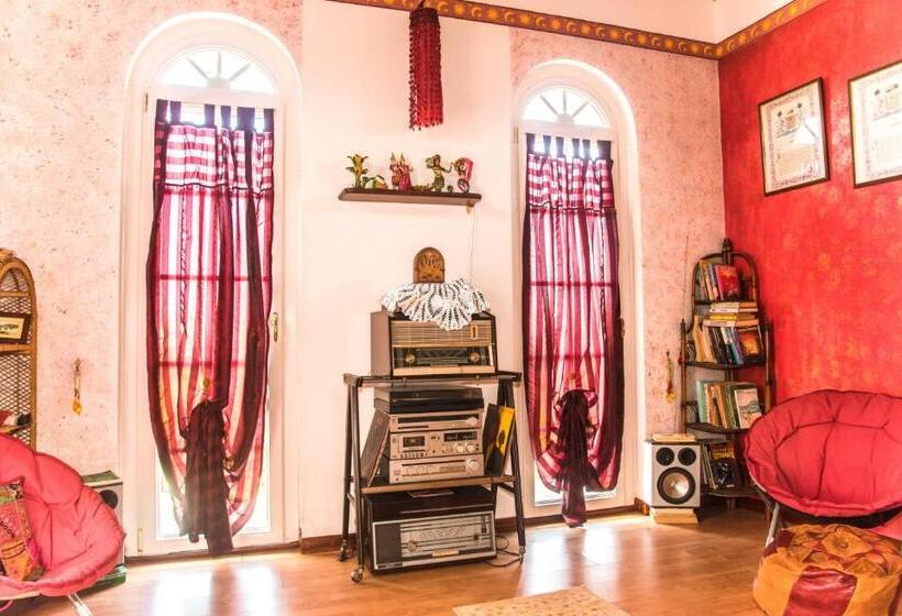 带大床的标准间, Alexander S Home