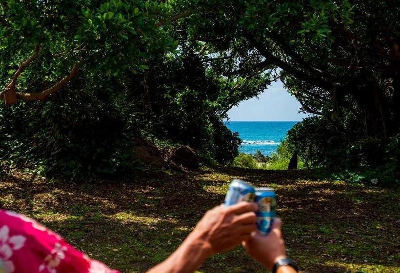 استودیوی استاندارد, Ikokujyoucho Vacation Stay 35774v