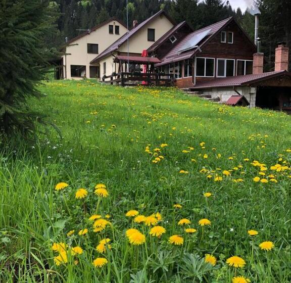 Дом 1 Спальня, Pensiunea Zorile Tarcaului