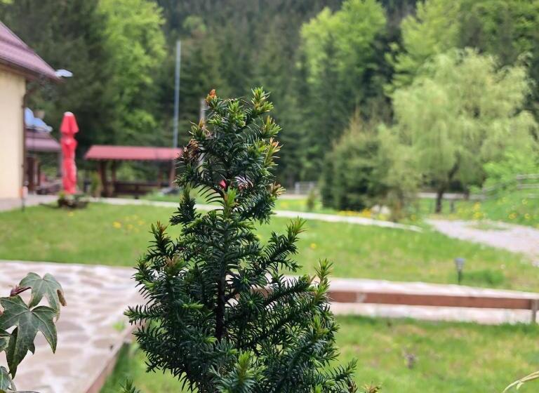 Дом 1 Спальня, Pensiunea Zorile Tarcaului