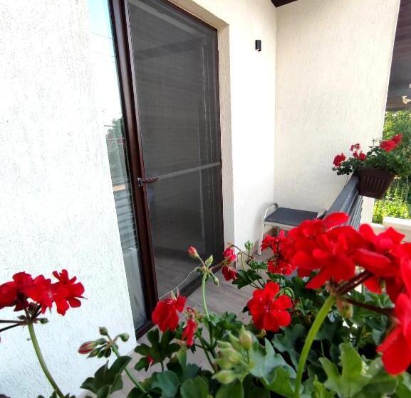 Standard room with outdoor bath, Regal Guest House