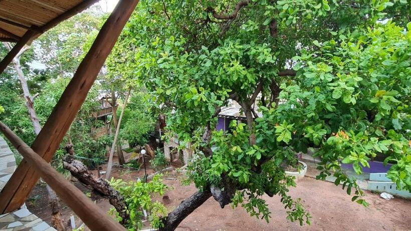 חדר סטנדרט, Pousada Bodega Da Terra