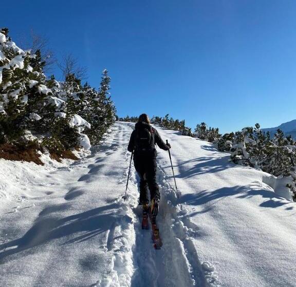 חדר סטנדרט נוף להרים, Gästehaus Hechenblaikner