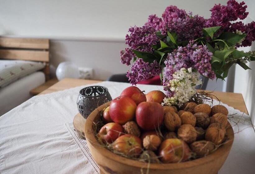 חדר סטנדרט נוף להרים, Gästehaus Hechenblaikner